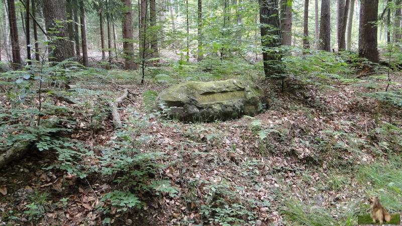 Ritterstein Nr. 128-3 Krottenbuckel.JPG - Ritterstein Nr.128  Krottenbuckel                               